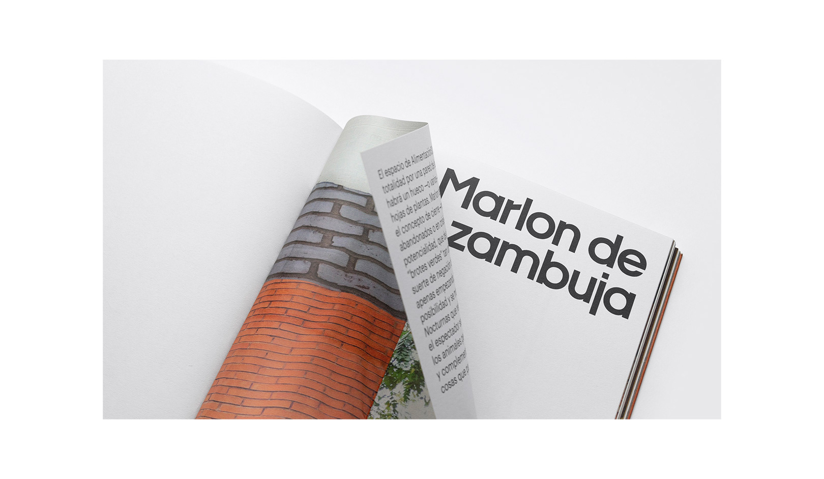 企業(yè)進(jìn)行品牌設(shè)計(jì)一般要設(shè)計(jì)哪些要素？